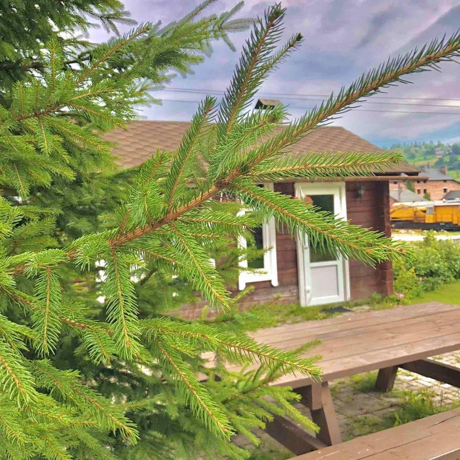 Тіна Hotell Slavske Eksteriør bilde